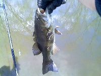East River Drive Park. Fishing Report